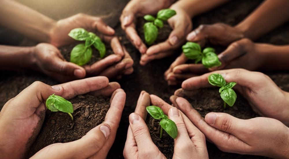 Trusted financial solutions - Bottom Line Insight. We offer financial planning, accounting, and advisory services.